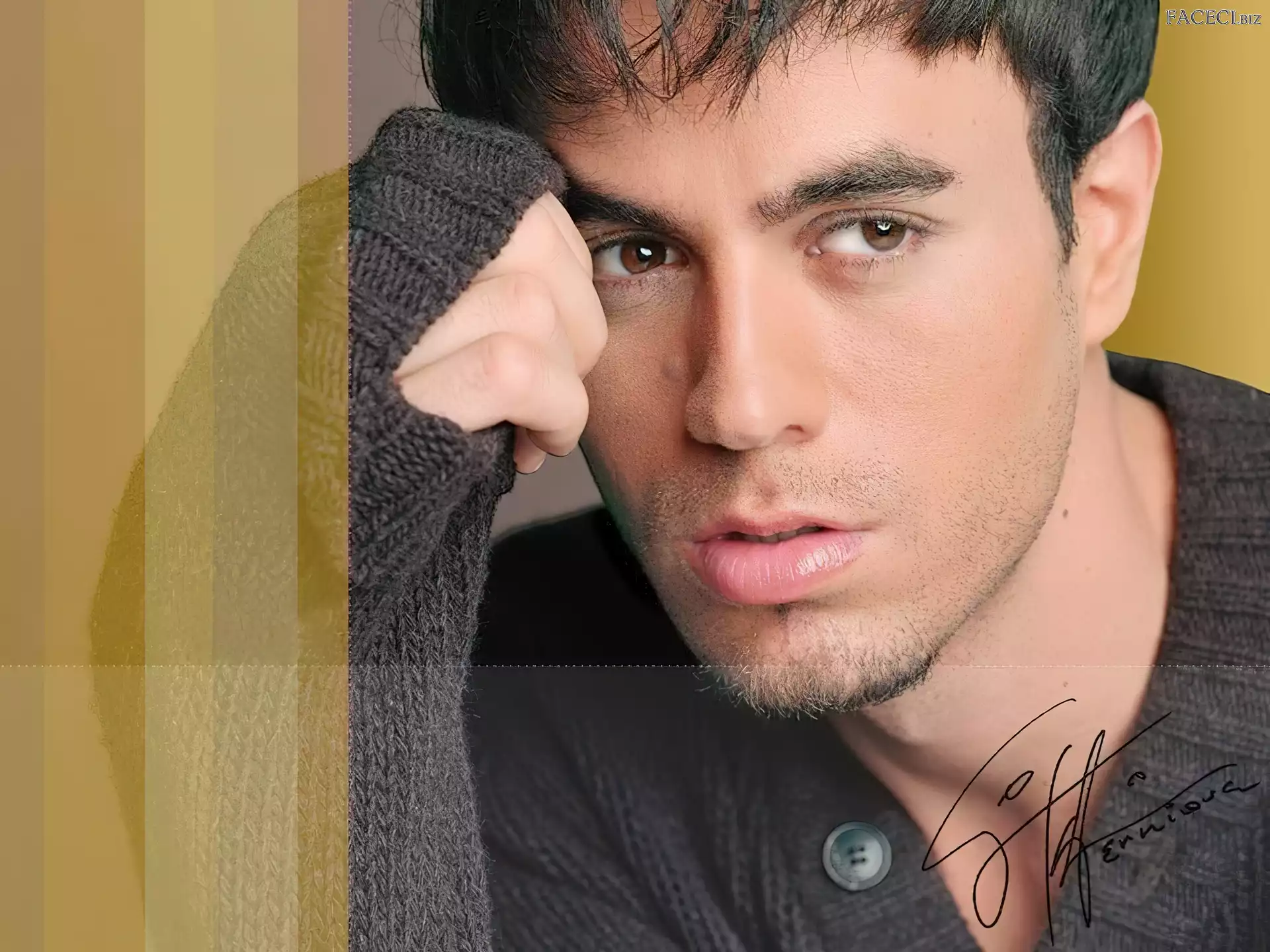 Enrique Iglesias, Twarz