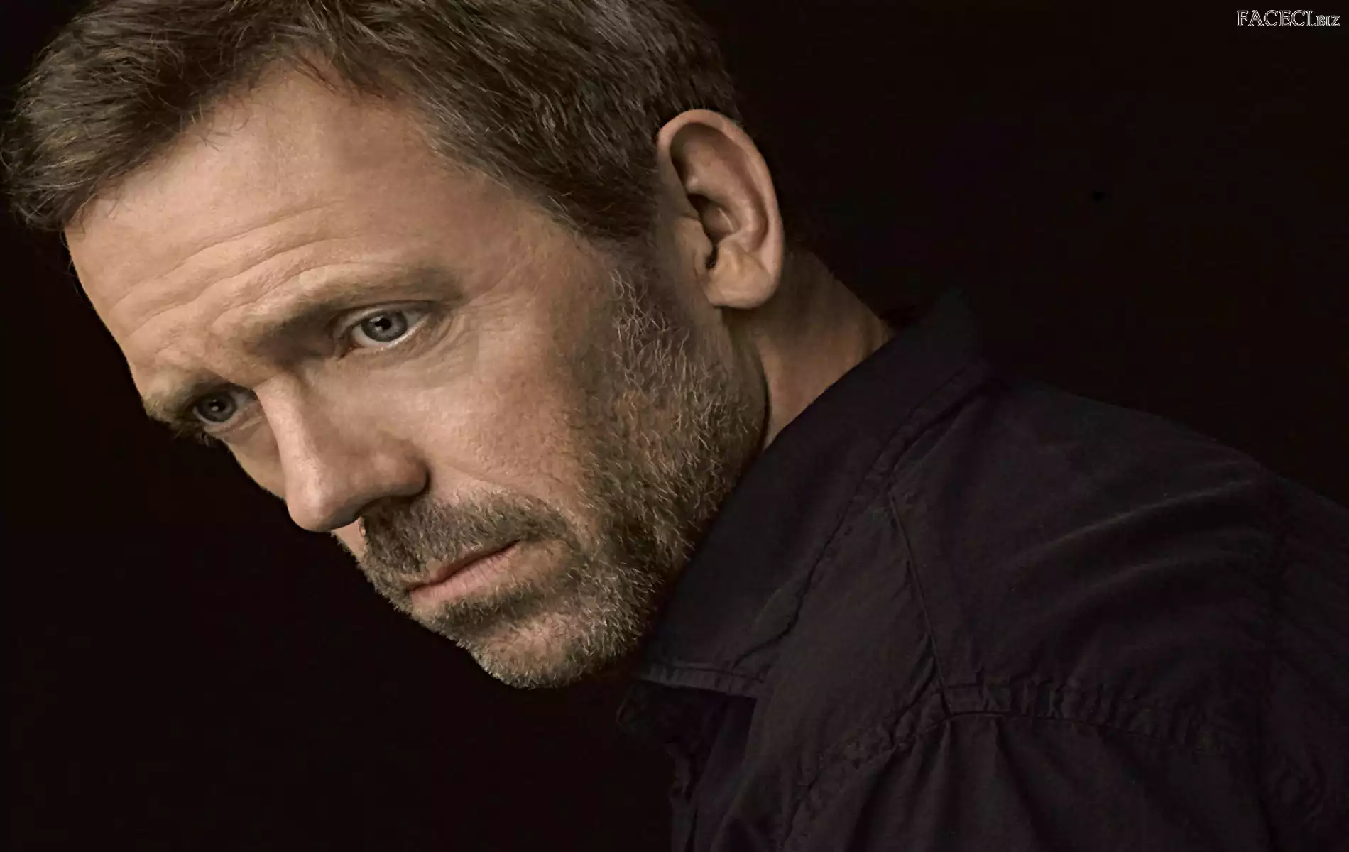 mężczyzna, Hugh Laurie, aktor